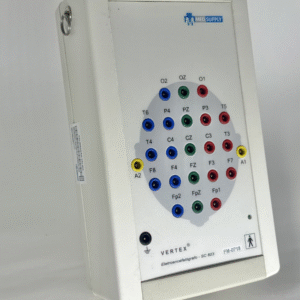 EEG VERTEX